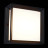 Потолочный светильник уличный Cubista SL077.402.01 ST Luce LED 3000K Модерн