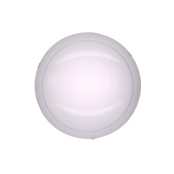 Настенно-потолочный светильник 918 CL918081 Citilux LED 3000K Классический