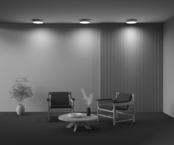 Потолочный светильник Technical C032CL-36W4K-RD-MG