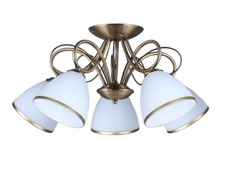 Потолочная люстра 253 OML-25307-05 Omnilux E27 Современный