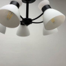 Люстра потолочная Lumion  Wilma 4535/5C