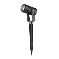 Ландшафтный грунтовый светильник Odeon light  Stima 6647/10GL