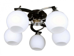 Потолочная люстра 254 OML-25407-05 Omnilux E27 Современный