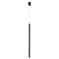 Подвесной светильник Odeon light  Fiano 4373/3L
