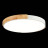 Потолочный светильник Delia SLE201352-01 Evoluce LED 3000-4000-6000K Модерн, Скандинавский