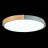 Потолочный светильник Delia SLE201372-01 Evoluce LED 3000-4000-6000K Модерн, Скандинавский