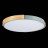 Потолочный светильник Delia SLE201372-01 Evoluce LED 3000-4000-6000K Модерн, Скандинавский