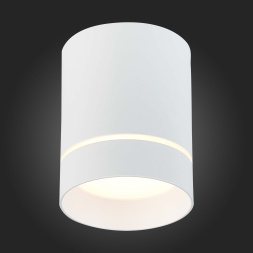 ST115.532.12 Светильник потолочный Белый LED 1*12W 3000K 840Lm Ra&gt;90 120° IP20 D79xH100 170-240V Накладные светильники ST LUCE