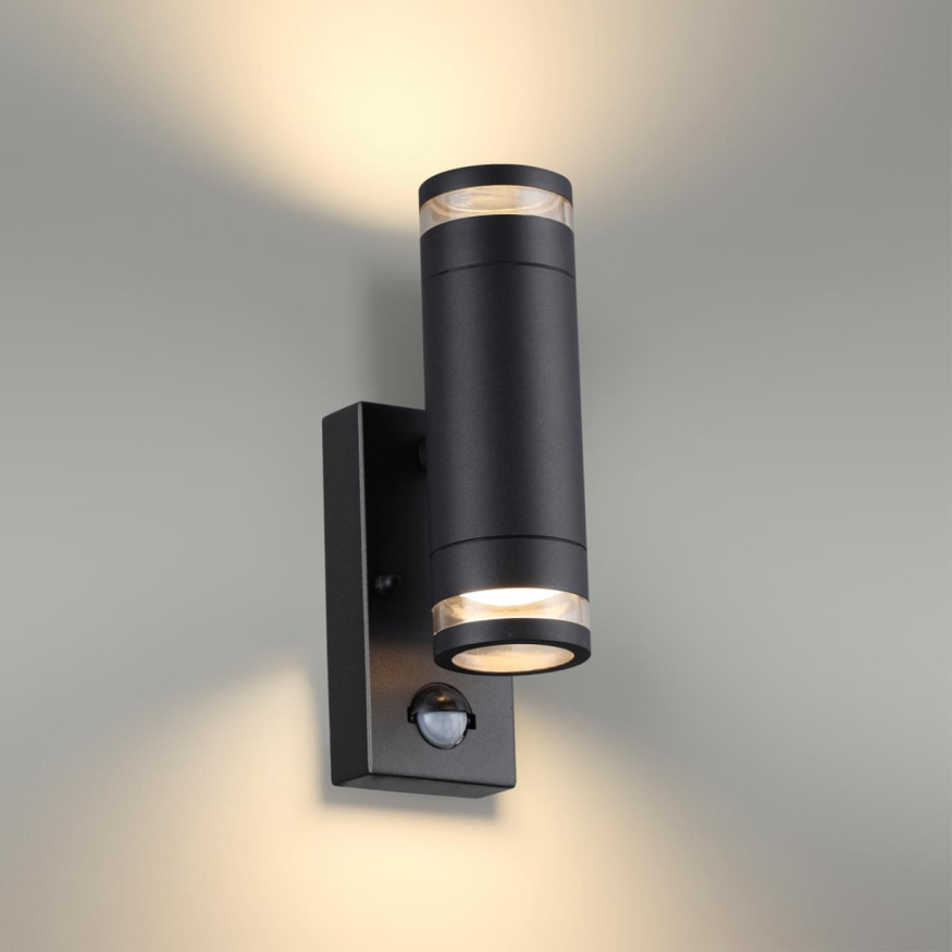 Уличный фасадный светильник Odeon light  Motto 6605/2W