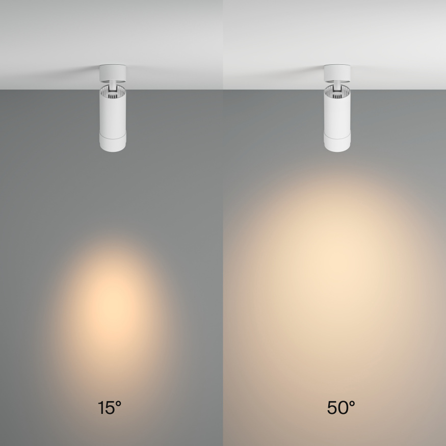 Потолочный светильник Technical C055CL-L12W3K-Z-W