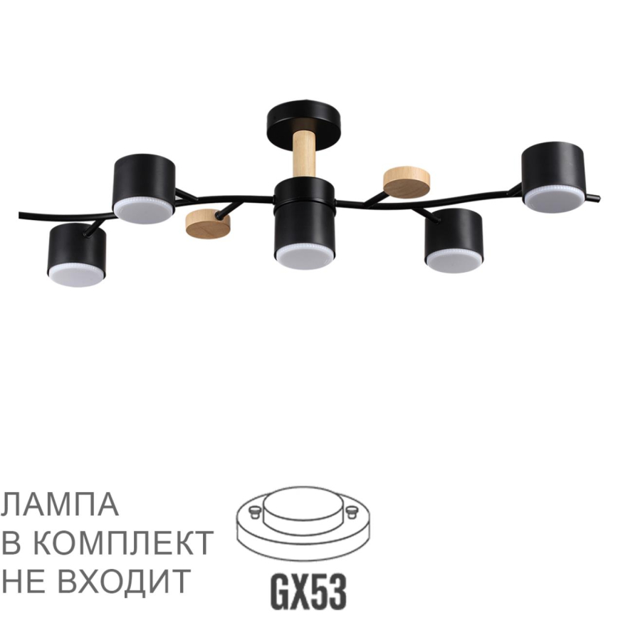 Люстра потолочная Lumion  Crypto 8194/5C