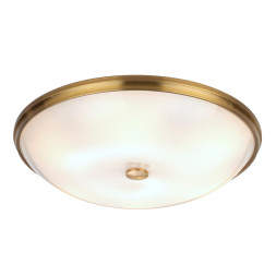 Настенно-потолочный светильник Pelow 4956/6 Odeon Light E14 Классический