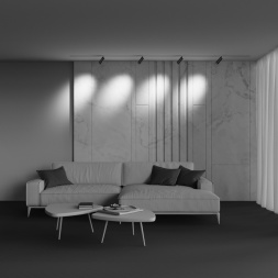 Трековый светильник Technical TR212-4-12WTW-DD2-Z-B