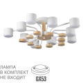 Люстра потолочная Lumion  Rondo 8196/10C