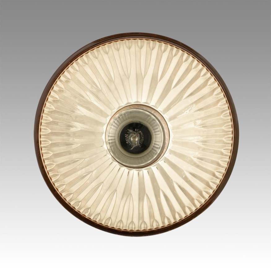 Светильник подвесной Lumion  Natana 8054/1A