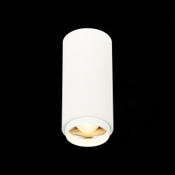 ST600.532.10 Светильник потолочный Zoom Белый LED 1*10W 3000K 1 000Lm Ra&gt;80 15-60° IP20 D59xH130 170 Накладные светильники ST LUCE