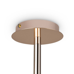 Потолочный светильник Freya FR1010CL-08G
