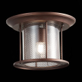 SL080.402.01 Светильник уличный потолочный ST-Luce Темный кофе/Прозрачный, Темный кофе E27 1*60W LASTERO ST LUCE