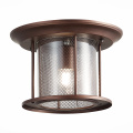 SL080.402.01 Светильник уличный потолочный ST-Luce Темный кофе/Прозрачный, Темный кофе E27 1*60W LASTERO ST LUCE