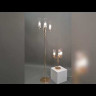 Интерьерная настольная лампа Kamilla 5274/3T Lumion E14 Классический, Модерн