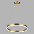 Люстра подвесная Lumion  Echo 6531/34L