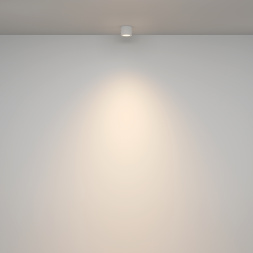 Потолочный светильник Technical C095CL-GX53-W