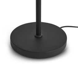 Напольный светильник (торшер) Freya FR5553FL-L20B