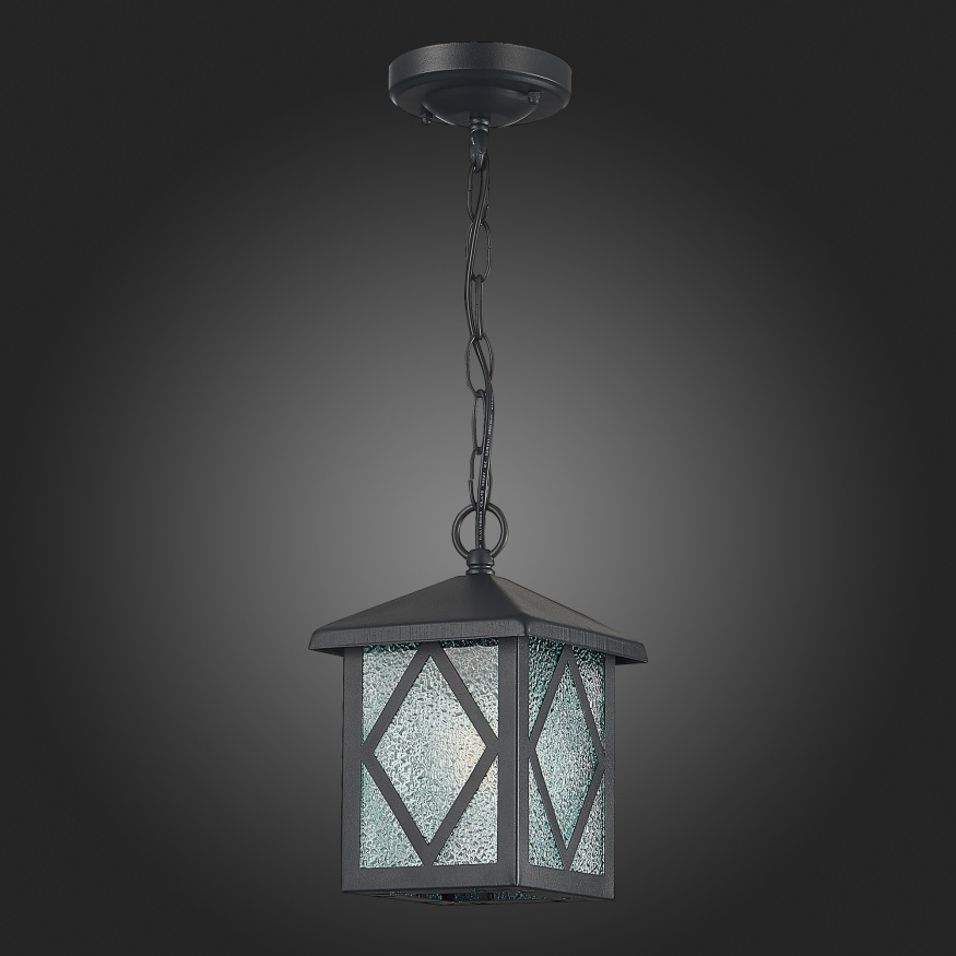 SL084.403.01 Светильник уличный подвесной ST-Luce Черный/Черный, Прозрачный E27 1*60W LORNE ST LUCE