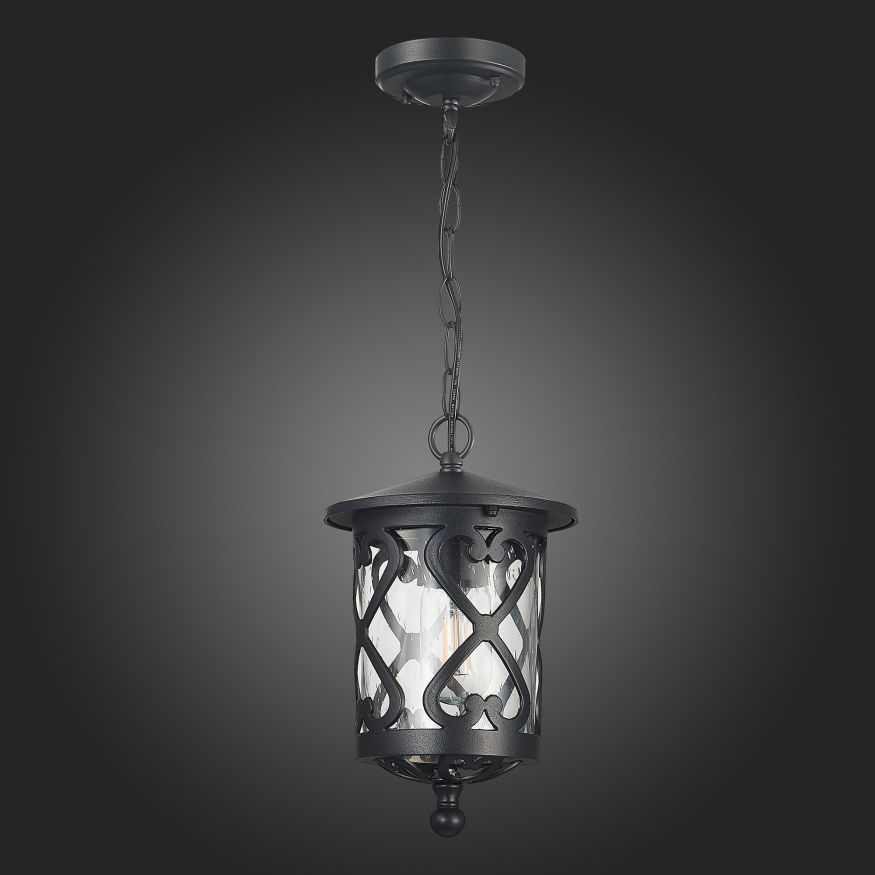 SL085.403.01 Светильник уличный подвесной ST-Luce Черный/Черный, Прозрачный E27 1*60W LORNE ST LUCE