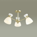 Люстра потолочная Lumion  Wilma 4535/3C