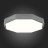 Потолочный светильник Rondo SLE200872-01 Evoluce LED 3000-4000-6000K Модерн