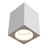 Потолочный светильник уличный Sirius C030CL-01W Maytoni GU10 Хай-Тек