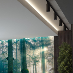 Светильник трековый однофазный трехжильный светодиодный NOVOTECH 358593 DEP лофт, минимализм, хай-тек черный 30W