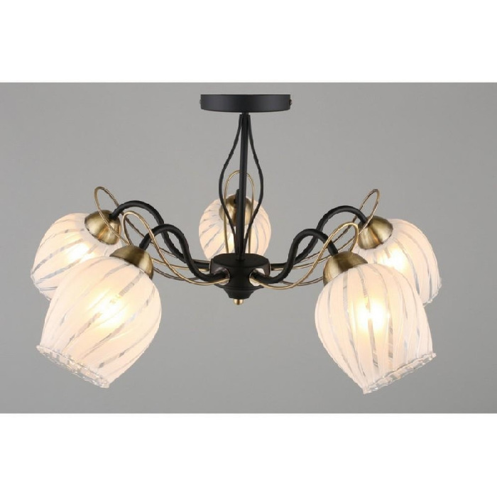 Потолочная люстра 655 OML-65507-05 Omnilux E27 Современный