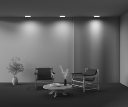 Потолочный светильник Technical C032CL-24W3K-RD-MG