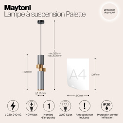 Подвесной светильник Maytoni MOD303PL-01CFL2