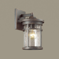 Уличный настенный светильник Odeon light  Virta 4044/1W