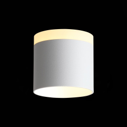 ST102.502.09 Светильник потолочный Белый LED 1*9W 3000K 702Lm Ra>80 120° IP20 D79xH75 170-240V Накладные светильники ST LUCE