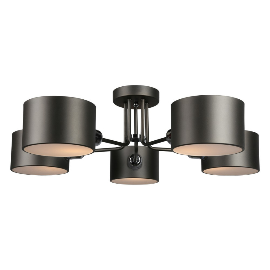 Потолочная люстра Liser OML-54507-05 Omnilux E27 Модерн, Современный, Арт-Деко