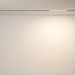 Трековый светильник Technical TR106-2-12W3K-B