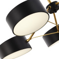 SLE6005-402-03 Светильник потолочный Черный, Золотистый/Черный LED 3*10W VALLE EVOLUCE