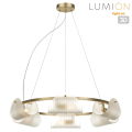 Люстра Lumion  Fioro 6571/6
