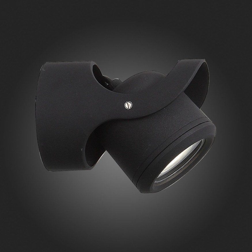 SL093.401.01 Светильник уличный настенный ST-Luce Черный/Черный, Прозрачный G5,3 1*3W ROUND ST LUCE