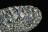 Потолочный светильник Broche DIA902-06-N Maytoni E14 Классический