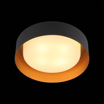 Потолочный светильник Chio SL392.422.04 ST Luce E14 Модерн