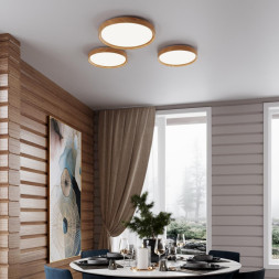 Настенно-потолочный светильник Woodi 3019/EL Sonex LED 4200-6500-3000K Модерн