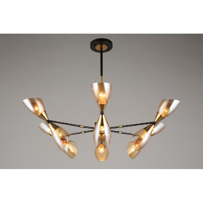 Потолочная люстра Onno OML-66807-12 Omnilux E14 Модерн