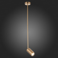SL1206.303.01 Светильник подвесной ST-Luce Латунь/Латунь GU10 1*5W SORMANO ST LUCE