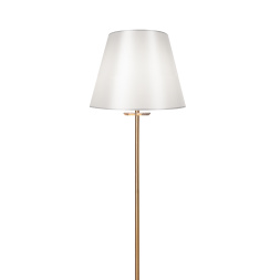 Напольный светильник (торшер) Freya FR1006FL-01G