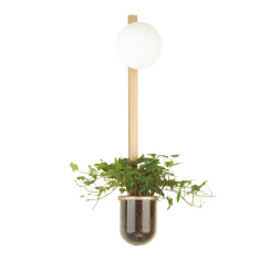 Настенный светильник ODEON LIGHT 4682/1WB FLOWER модерн золото/белый 1x40W